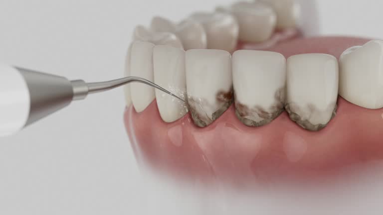Reliable Dental contractor in Blakely, PA by Dentist Open Now